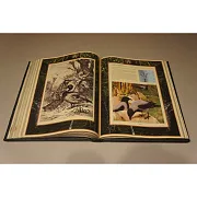 Настольная книга охотника — книга для мужчины — красивый подарок — фотография 3
