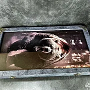 Нарды под стеклом «Свирепый медведь» в подарок — фотография 10
