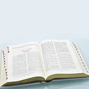 "Библия" в коробе-шкатулке — книга в кожаном переплёте — оригинальный подарок — фотография 5