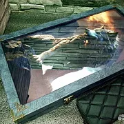 Подарочные нарды под стеклом «Волк и лев» — фотография 1